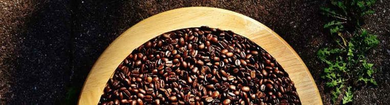 grani di Coffea