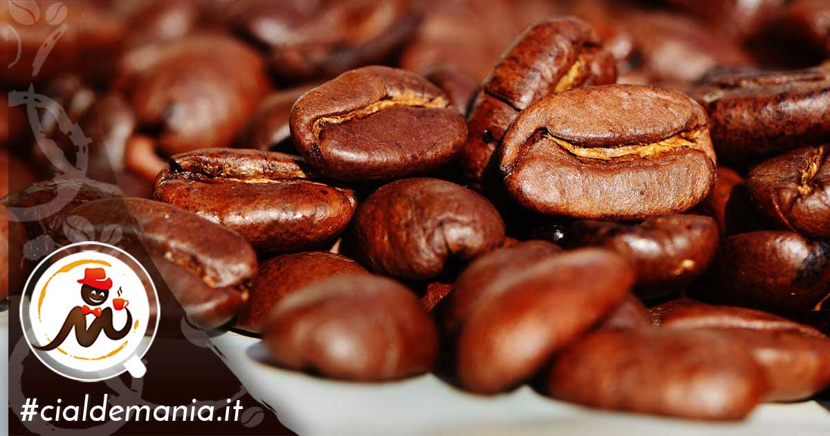 Com'è fatto il frutto della pianta del caffè